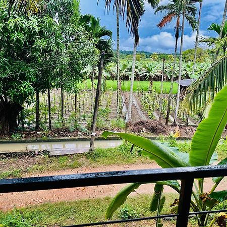 Blue Mountains View Dambulla Exterior foto