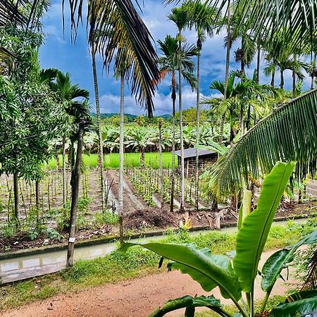 Blue Mountains View Dambulla Exterior foto