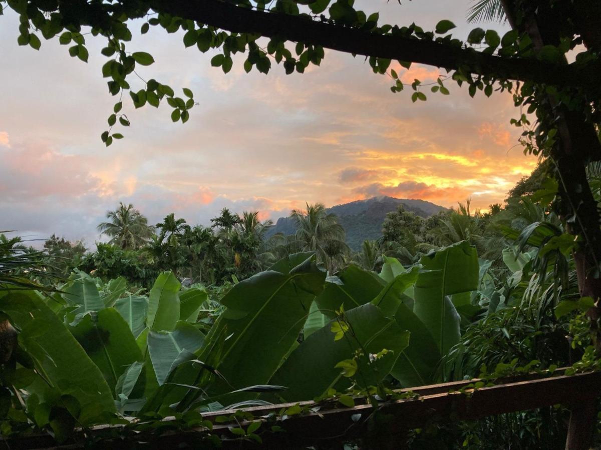 Blue Mountains View Dambulla Exterior foto