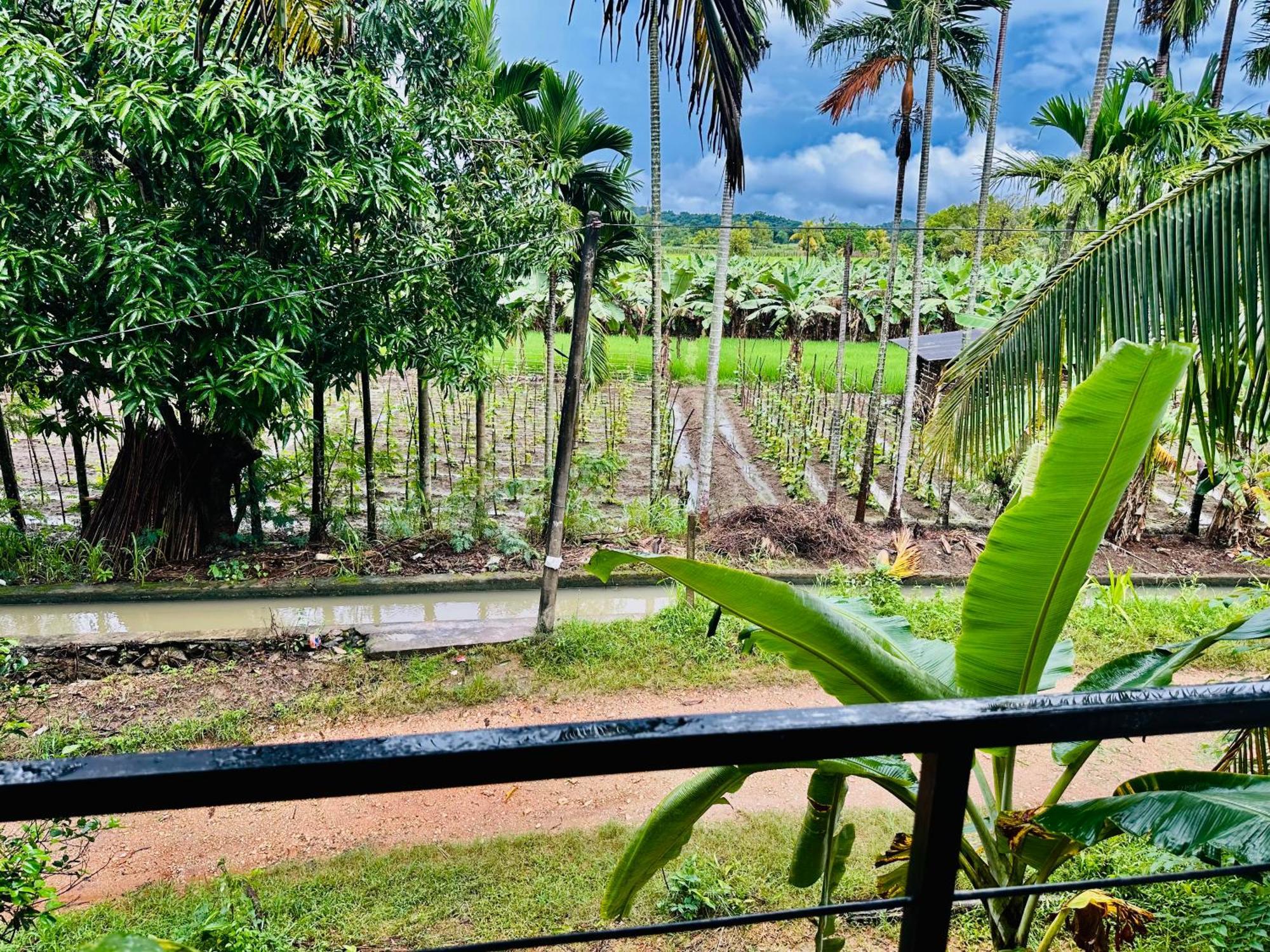 Blue Mountains View Dambulla Exterior foto